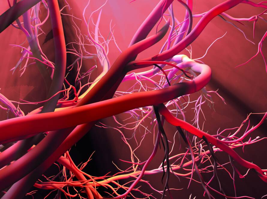 Mikrozirkulation verbessern